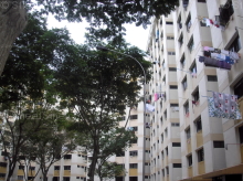 Blk 248 Hougang Avenue 3 (Hougang), HDB 3 Rooms #242242